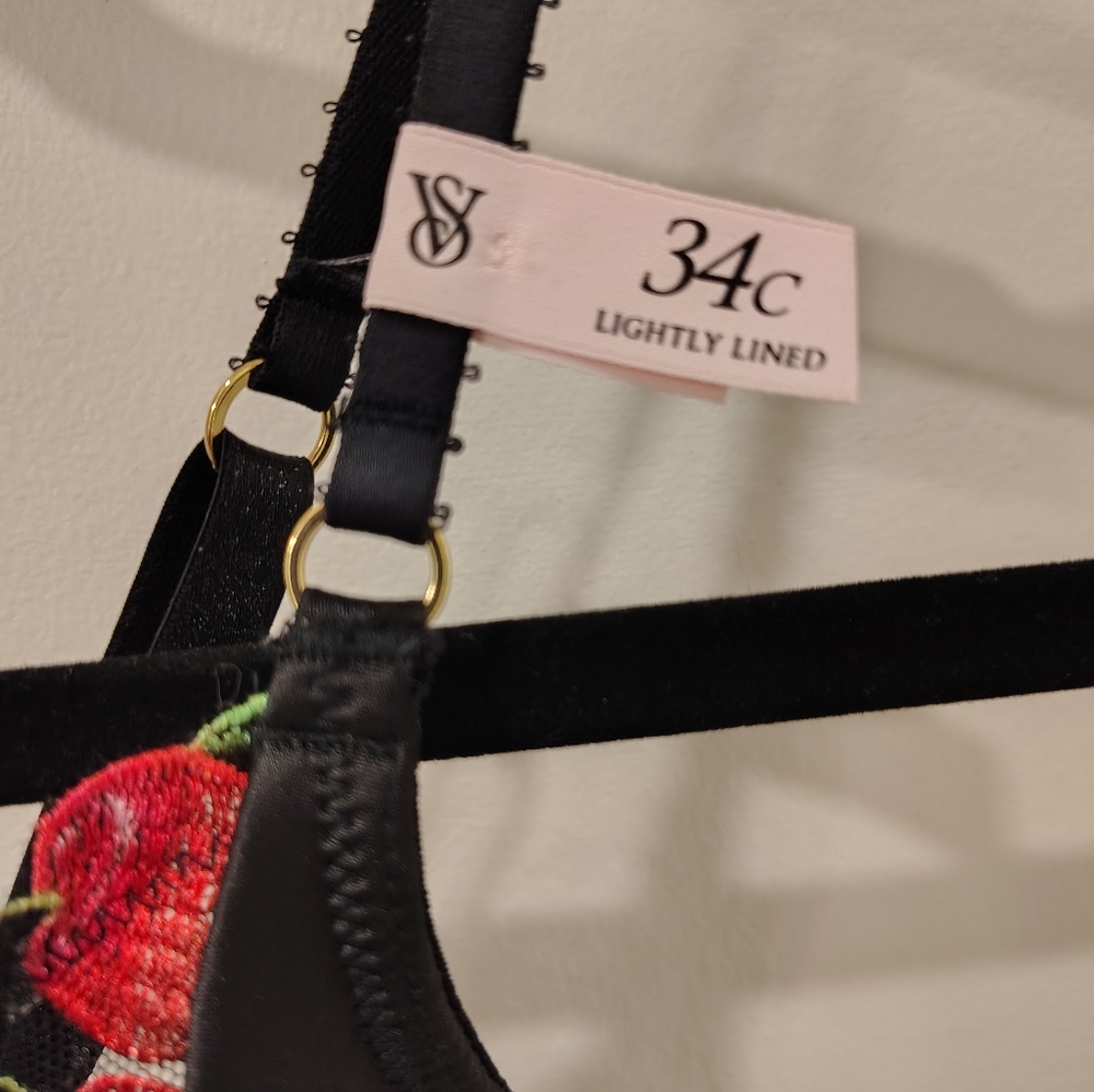 Victoria's Secret Lightly lined Cherry Corset 34C - Picture 4 of 5